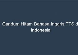 Bahasa Inggris Ninja Hitam